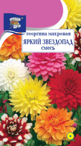 Георгина Яркий звездопад махр. смесь купить