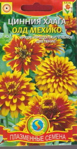Цинния Олд Мехико  купить