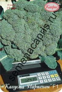 Капуста (брокколи) Партенон/1шт купить