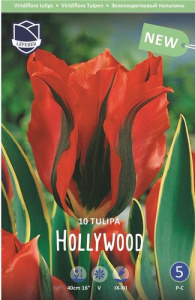 Тюльпан Холливуд /10шт купить