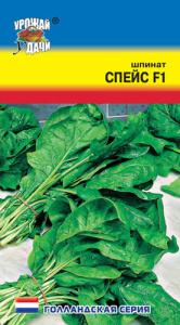 Шпинат Спейс  купить