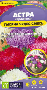 Астра Тысяча чудес смесь карликовая купить