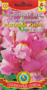 Львиный зев Розовый гном карликовый  купить