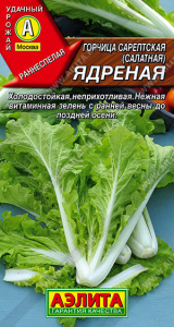 Горчица Ядреная салатная купить
