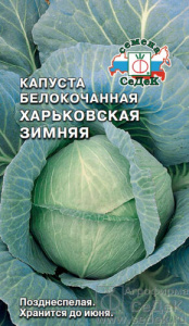 Капуста Харьковская Зимняя  купить