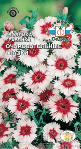 Гвоздика травянка Очаровательные Глазки  купить