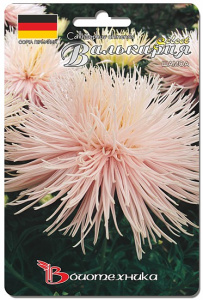 Астра Валькирия SELECT Шамоа  купить