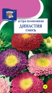 Астра Династия помпонная смесь  купить