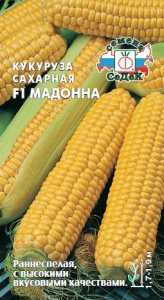 Кукуруза Мадонна F1  купить