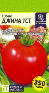 Томат Джина ТСТ купить