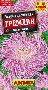 Астра гремлин Лавандовая купить