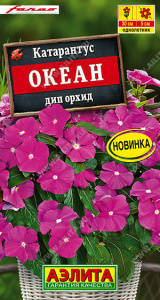 Катарантус Океан дип орхид Farao купить