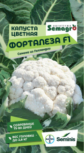 Капуста (цветная) Форталеза F1  купить