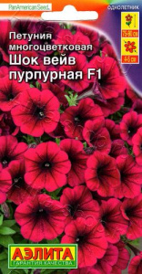 Петуния Шок вейв F1 Пурпурная купить