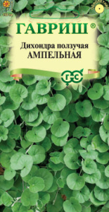 Дихондра ампельная  купить