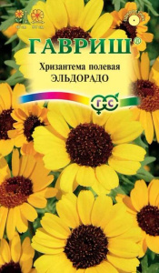 Хризантема Эльдорадо  купить