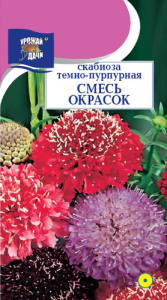 Скабиоза Смесь Окрасок темно-пурпурная  купить