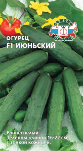 Огурец Июньский F1 купить