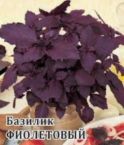 Базилик Фиолетовый 10г Проф купить