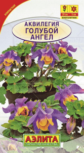 Аквилегия Голубой ангел горшечная купить