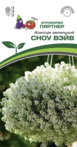 Алиссум Сноу Вэйв ампельный купить
