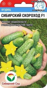 Огурец Сибирский скороход F1  купить