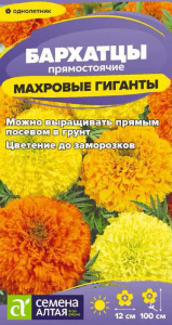 Бархатцы Махровые Гиганты купить