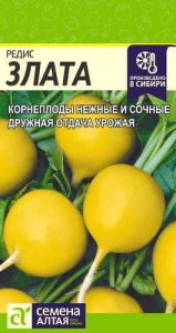Редис Злата купить