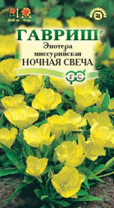 Энотера миссурийская Ночная Свеча  купить