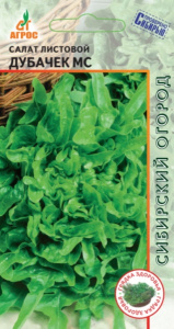 Салат Дубачек МС  купить