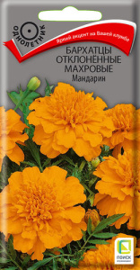 Бархатцы Мандарин откл. махр. купить