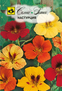 Настурция вьющаяся  купить