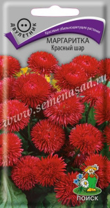 Маргаритка Красный шар купить