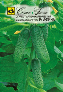Огурец Афина F1 купить
