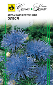Астра художественная Олеся  купить