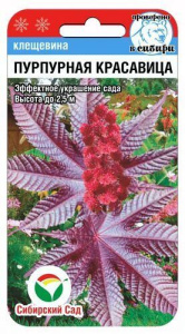 Клещевина Пурпурная красавица купить