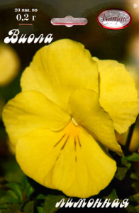 Виола Лимонная/1шт купить