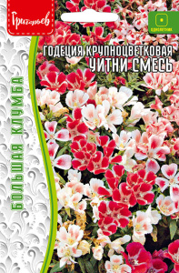 Годеция Уитни, смесь крупноцв. купить