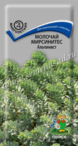 Молочай мирсинитес Альпинист купить