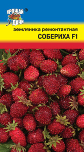 Земляника Собериха F1 ремонтантная купить