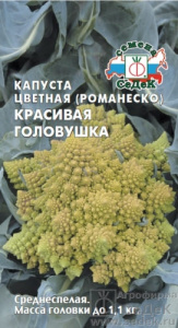 Капуста (цветная) Красивая головушка  купить