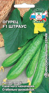 Огурец Штраус F1 купить