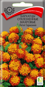 Бархатцы Петит гармония откл. махр. купить