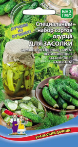 Огурец Деревенский хит Смесь сортов купить