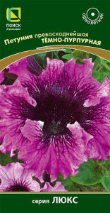Петуния превосходнейшая Темно-пурпурная купить