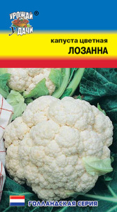 Капуста (цветная) Лозанна  купить