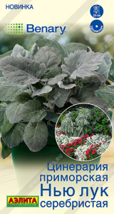Цинерария Нью Лук серебристая купить