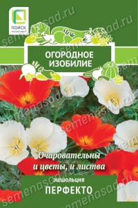 Эшшольция Перфекто купить