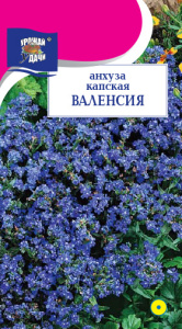 Анхуза капская ВАЛЕНСИЯ купить