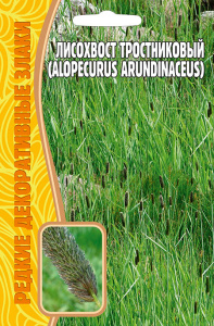 Лисохвост Тростниковый купить